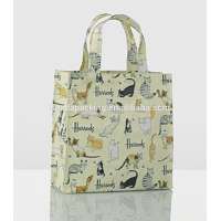 beautiful 100gsm non woven shopping bag