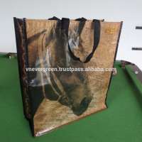 Cheap PP non Woven Shopping Bag Made In Vietnam Evergreen